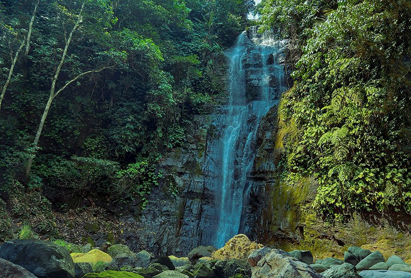 Galeri Bunihayu Forest - suasana hutan, sungai, dan area glamping