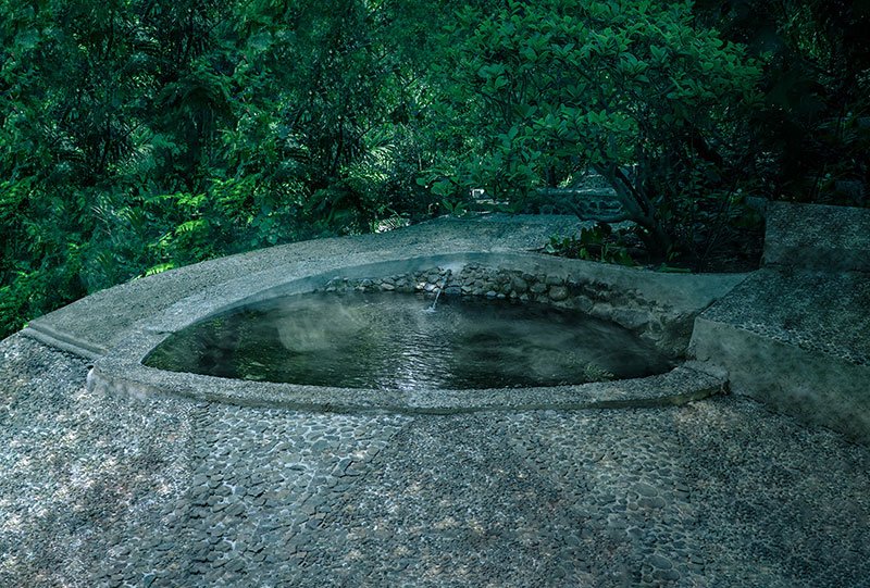 Galeri Bunihayu Forest - suasana hutan, sungai, dan area glamping