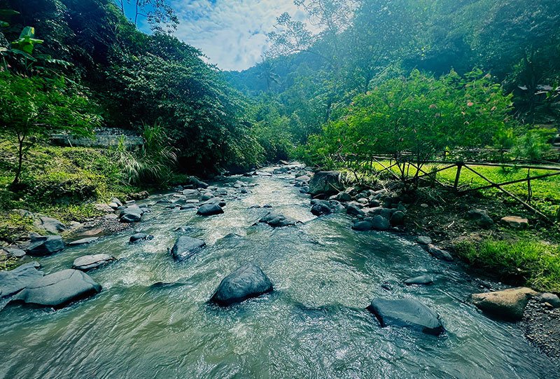 Galeri Bunihayu Forest - suasana hutan, sungai, dan area glamping