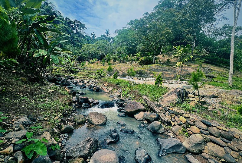 Galeri Bunihayu Forest - suasana hutan, sungai, dan area glamping