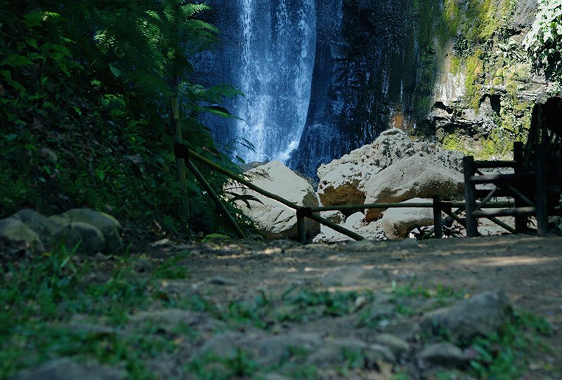 Galeri Bunihayu Forest - suasana hutan, sungai, dan area glamping