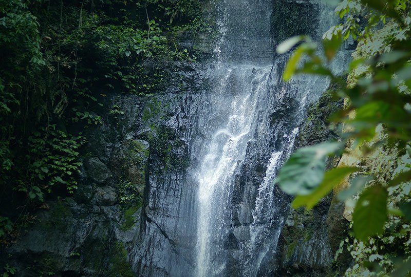 Galeri Bunihayu Forest - suasana hutan, sungai, dan area glamping