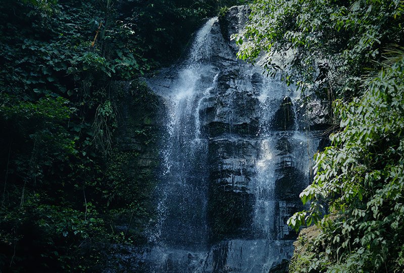 Galeri Bunihayu Forest - suasana hutan, sungai, dan area glamping
