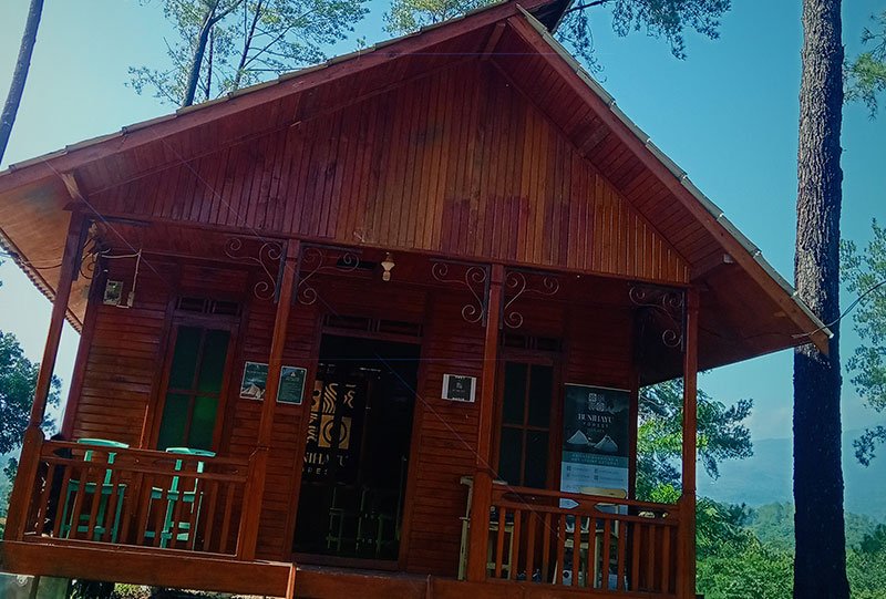 Galeri Bunihayu Forest - suasana hutan, sungai, dan area glamping