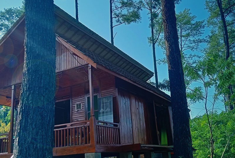 Galeri Bunihayu Forest - suasana hutan, sungai, dan area glamping