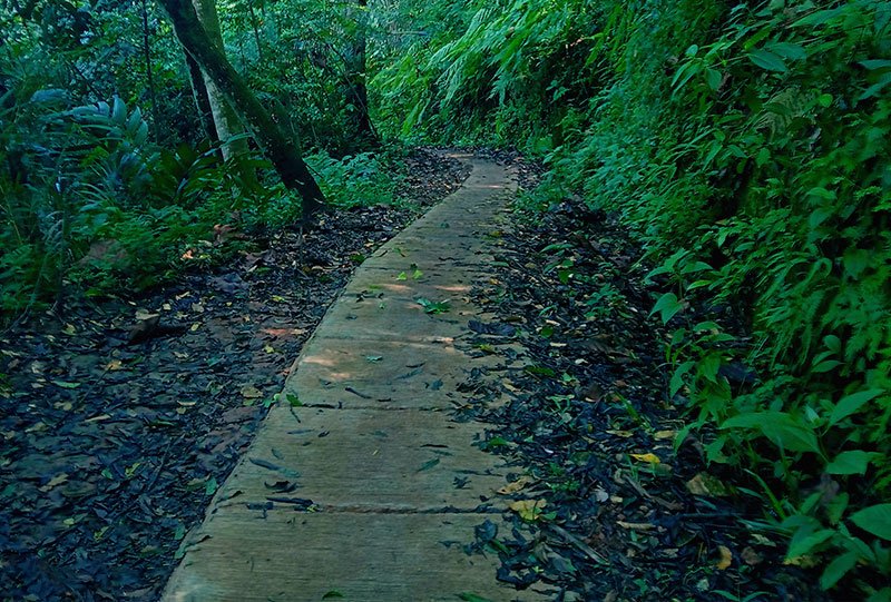Galeri Bunihayu Forest - suasana hutan, sungai, dan area glamping