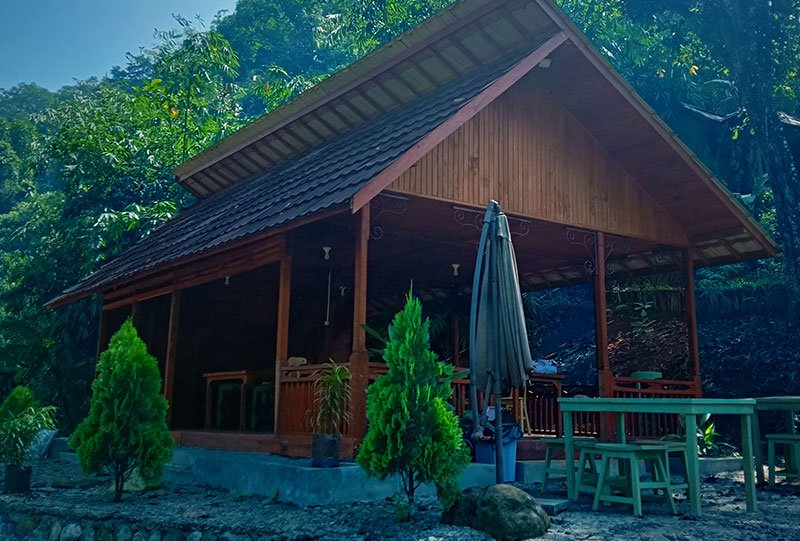 Galeri Bunihayu Forest - suasana hutan, sungai, dan area glamping