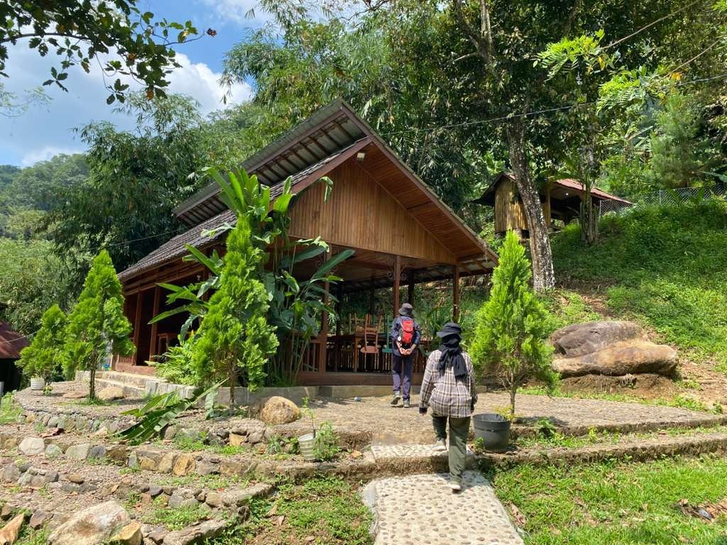 Kabin kayu di tengah hutan Bunihayu Forest