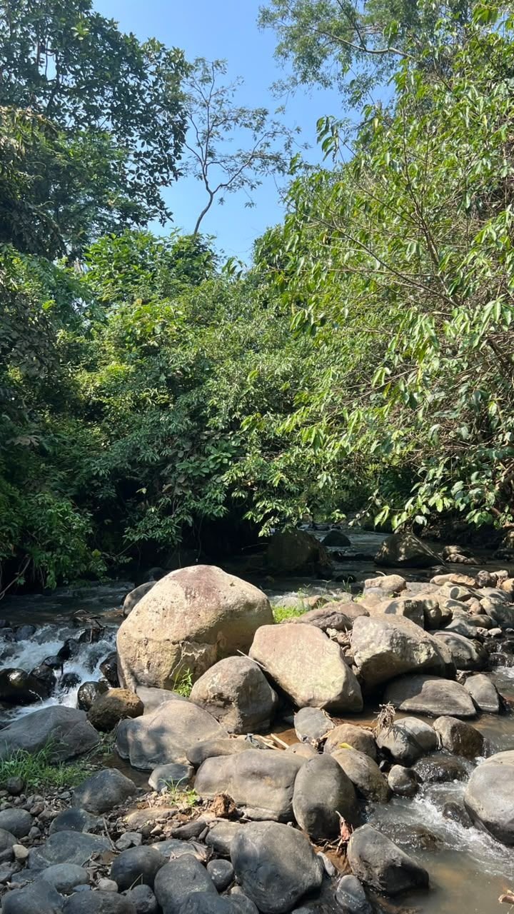 Bongkahan batu besar di sungai dengan langit biru Bunihayu Forest