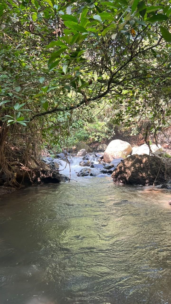 Kolam sungai yang tenang di antara bebatuan Bunihayu Forest