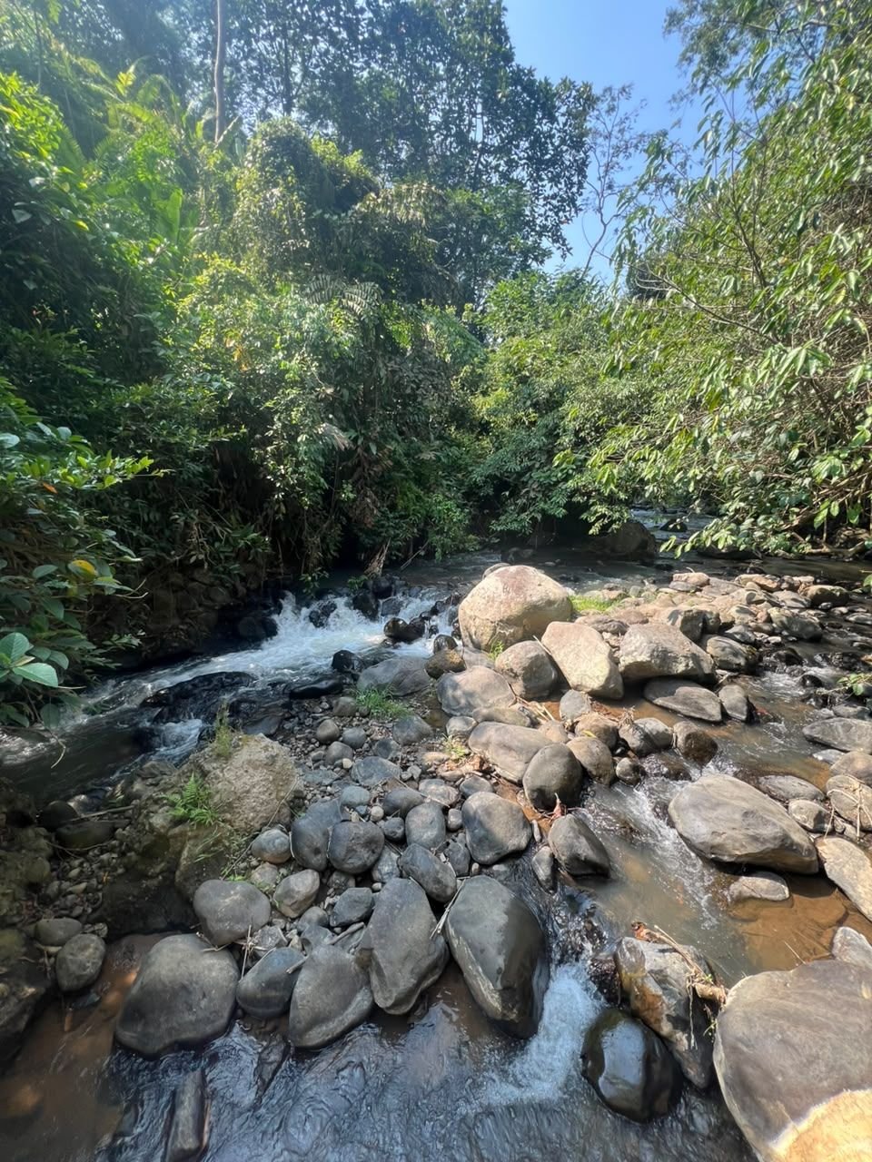 Riam dan bebatuan sungai Bunihayu Forest