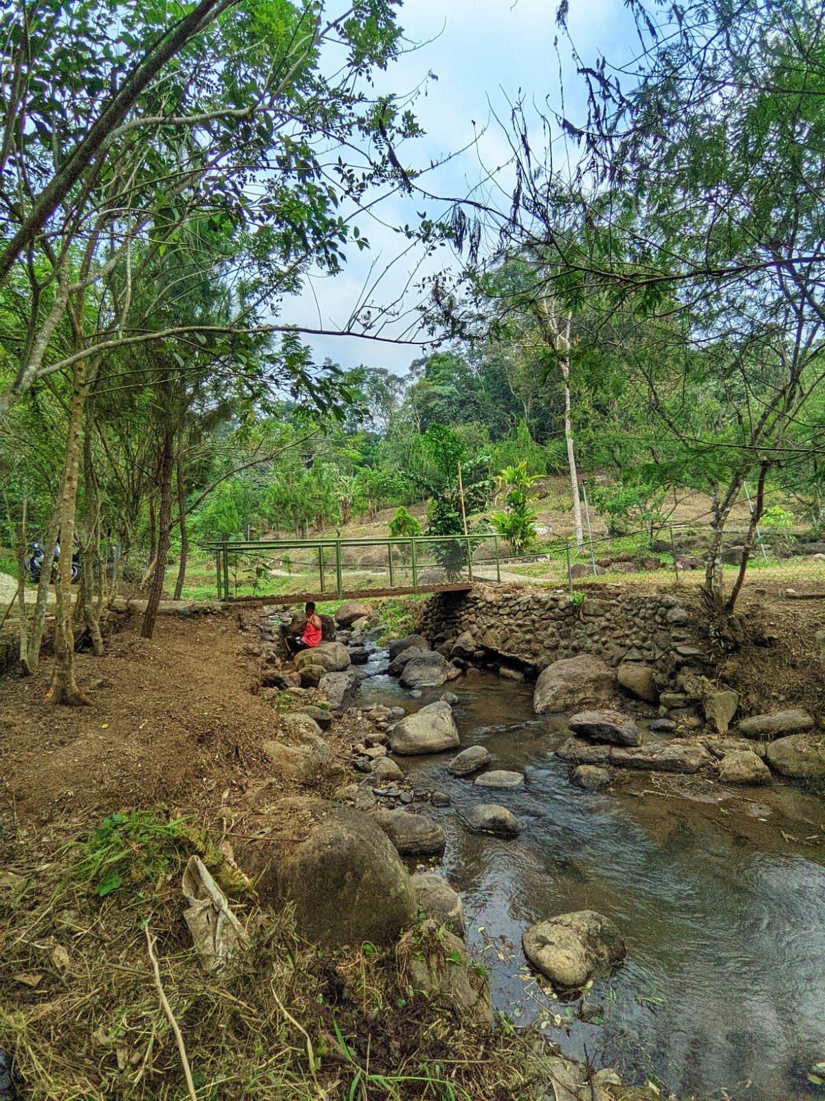 Jembatan hijau di atas aliran sungai Bunihayu Forest