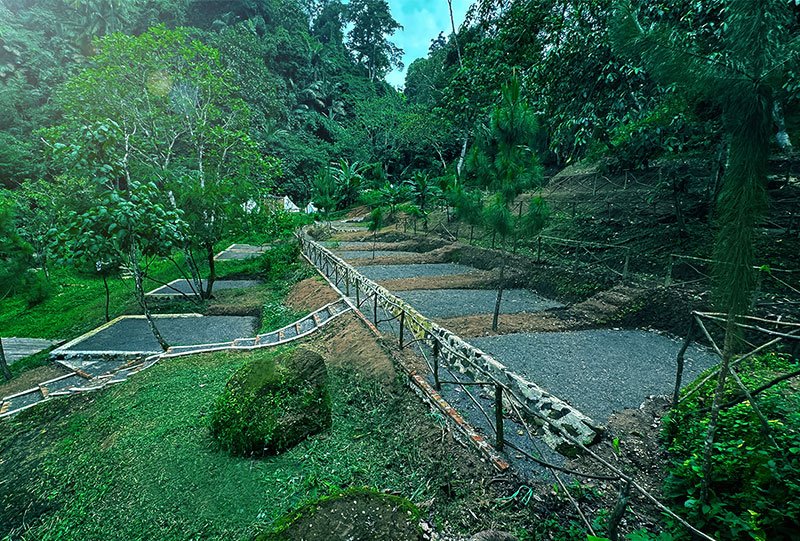 Galeri Bunihayu Forest - area camping ground